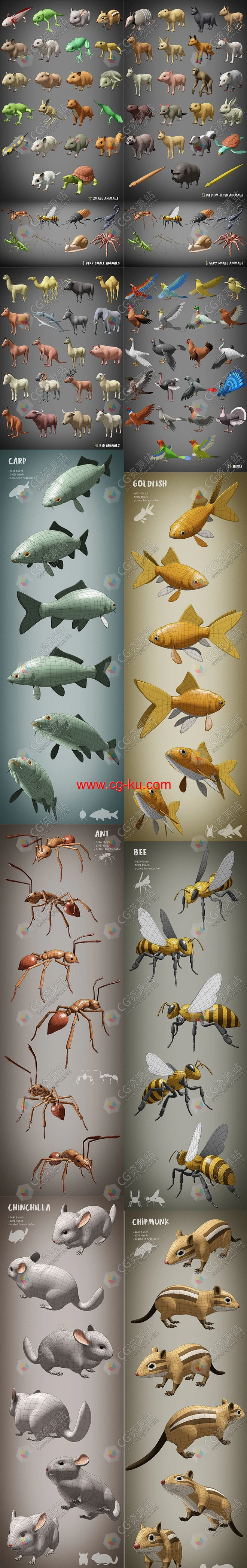 100种Blender农场动物鸟鱼3D模型的图片2