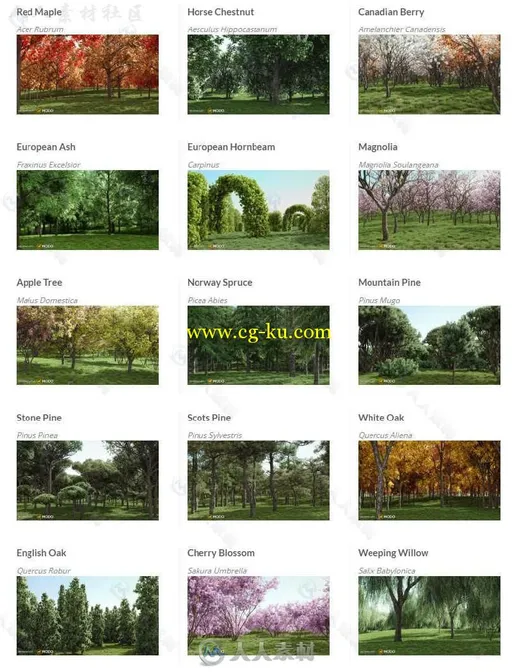 15组高逼树木植物3D模型库 VIZPARK REAL TREES的图片1