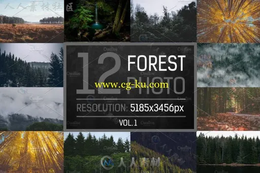 12种大自然森林照片Lightroom预设的图片1