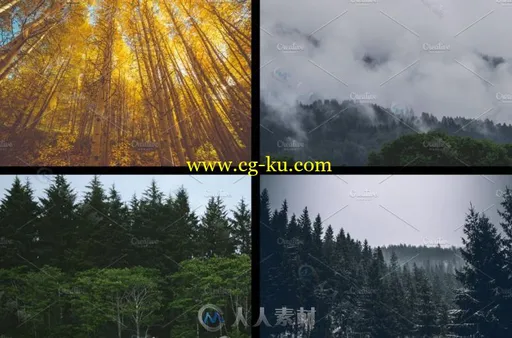 12种大自然森林照片Lightroom预设的图片3