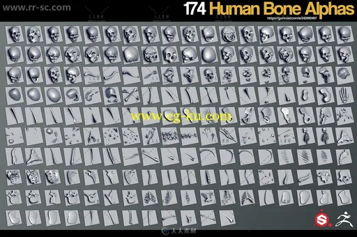 174组骷髅骨骼纹理雕刻笔刷贴图等合辑 GUMROAD 174 HUMAN BONE ALPHAS的图片2
