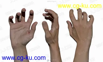 18组超精致男性手掌手臂动作姿势3D模型与贴图的图片1