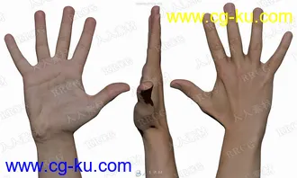 18组超精致男性手掌手臂动作姿势3D模型与贴图的图片3
