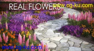 150组高精度艳丽鲜花植物3D模型合集的图片3