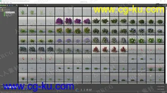 146组高质量欧美花卉灌木草木植物3D模型合集的图片1