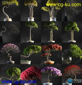 20组高质量室内盆栽草木植物3D模型合集的图片3