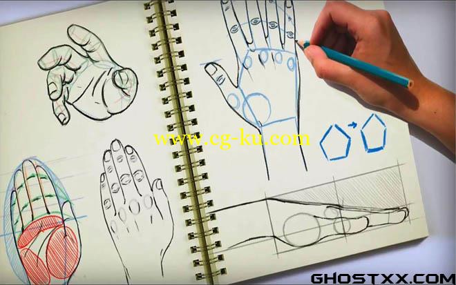 Digital Tutors - Methods for Drawing the Human Hand的图片1