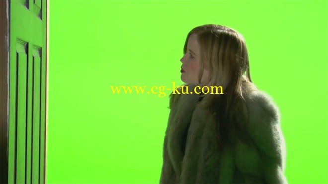 Green Screen Production Master Class Learn by Video的图片1