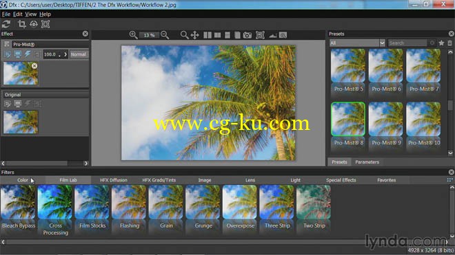 Lynda - Up and Running with Tiffen DFX的图片1