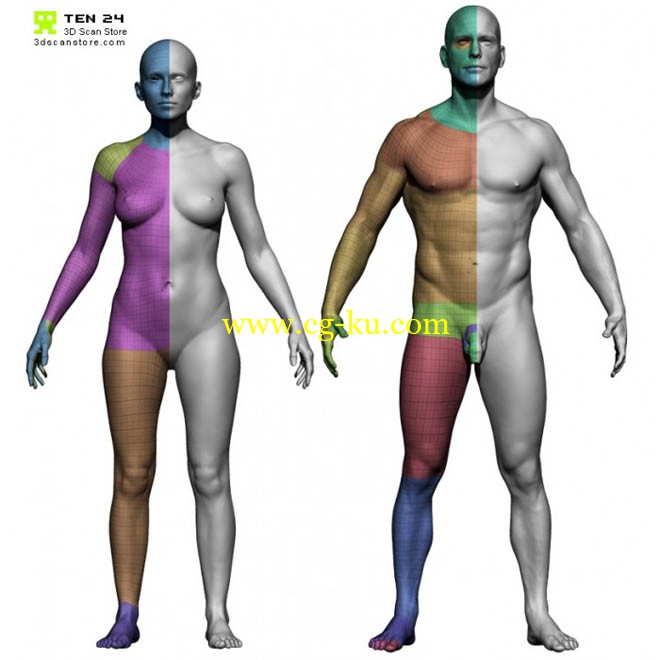 3D Scan Store - Male and Female Base Mesh Bundle的图片1