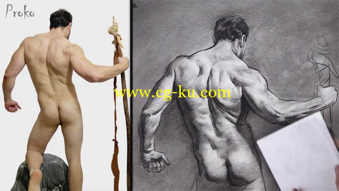 Proko - Figure drawing fundamentals的图片1