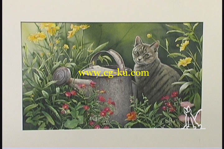 Susan Bourdet - Bold & Beautiful - Backyard Wildlife in Watercolor的图片1