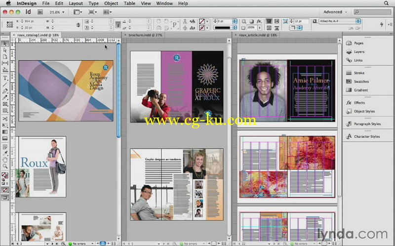 lynda - InDesign Insider Training - Beyond the Essentials的图片1