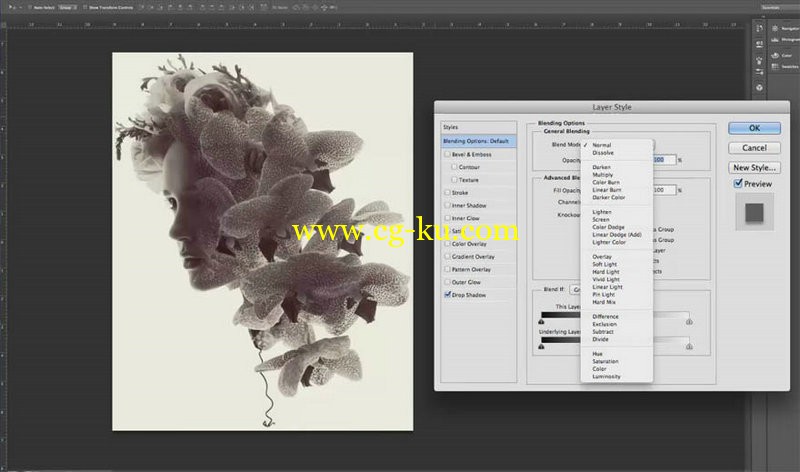 CreativeLIVE - Photoshop Blend Modes Will Change Your Life的图片1