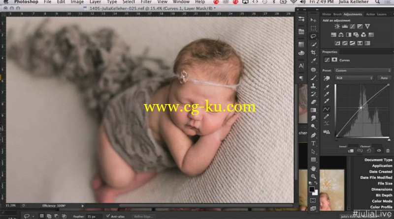 CreativeLive - The Creative Newborn Photography Studio with Julia Kelleher的图片1