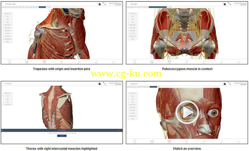 Visible Body programs的图片1