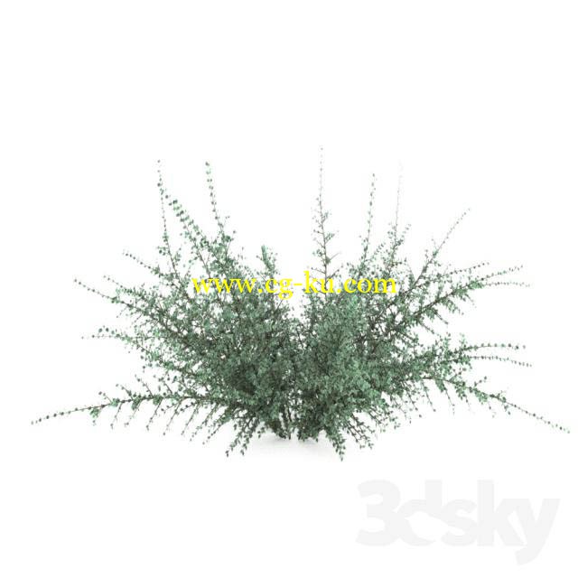 3dsky - 植物 1的图片1