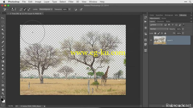 Creative Live - 24 photoshop Tutorials的图片2