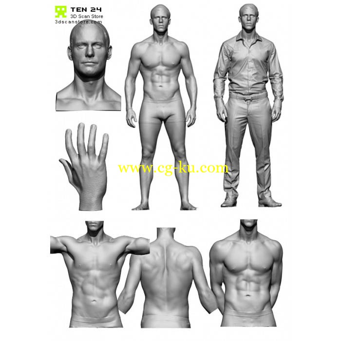 3D Scan Store - Male Anatomy Bundle的图片1