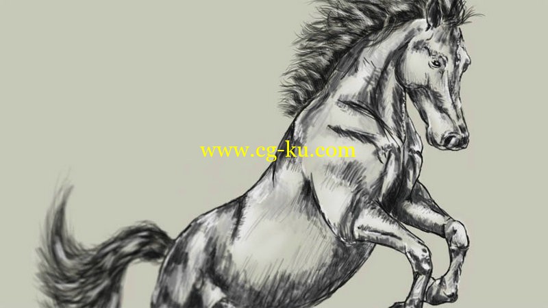 TutsPlus - Digital Drawing 101 Drawing Animals的图片1