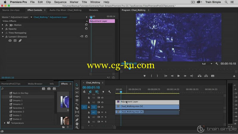 Train Simple - Premiere Pro CC Tips的图片1