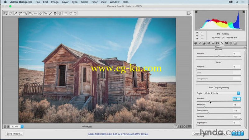 Lynda - Adobe Camera Raw Essential Training的图片1