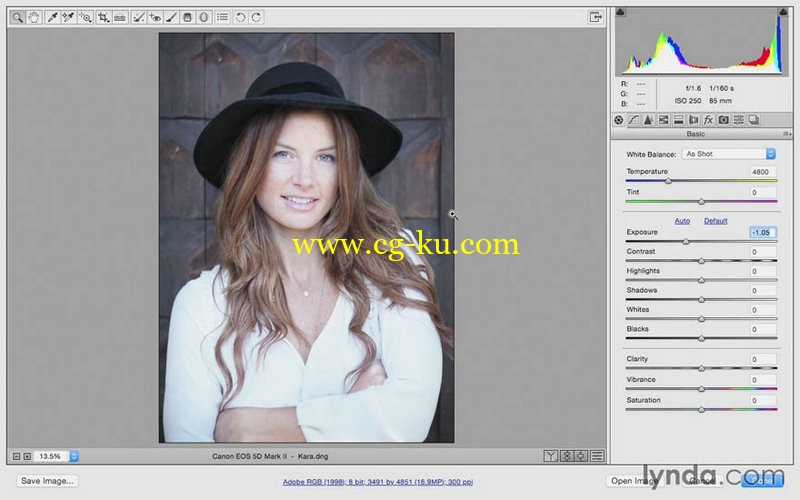 Lynda - Photoshop CC for Photographers Camera Raw 9 Fundamentals的图片1