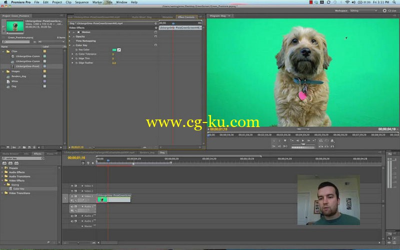 Udemy - Green Screen Video Editing for Beginners & Professionals的图片1