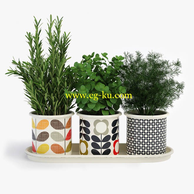 Orla Kiely - 3 Herb Pots With Tray的图片1