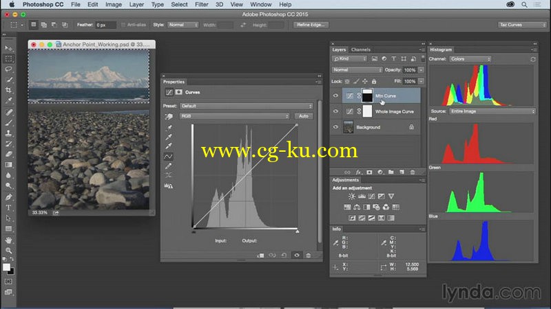 Lynda - Exploring Photoshop Mastering Curves的图片1