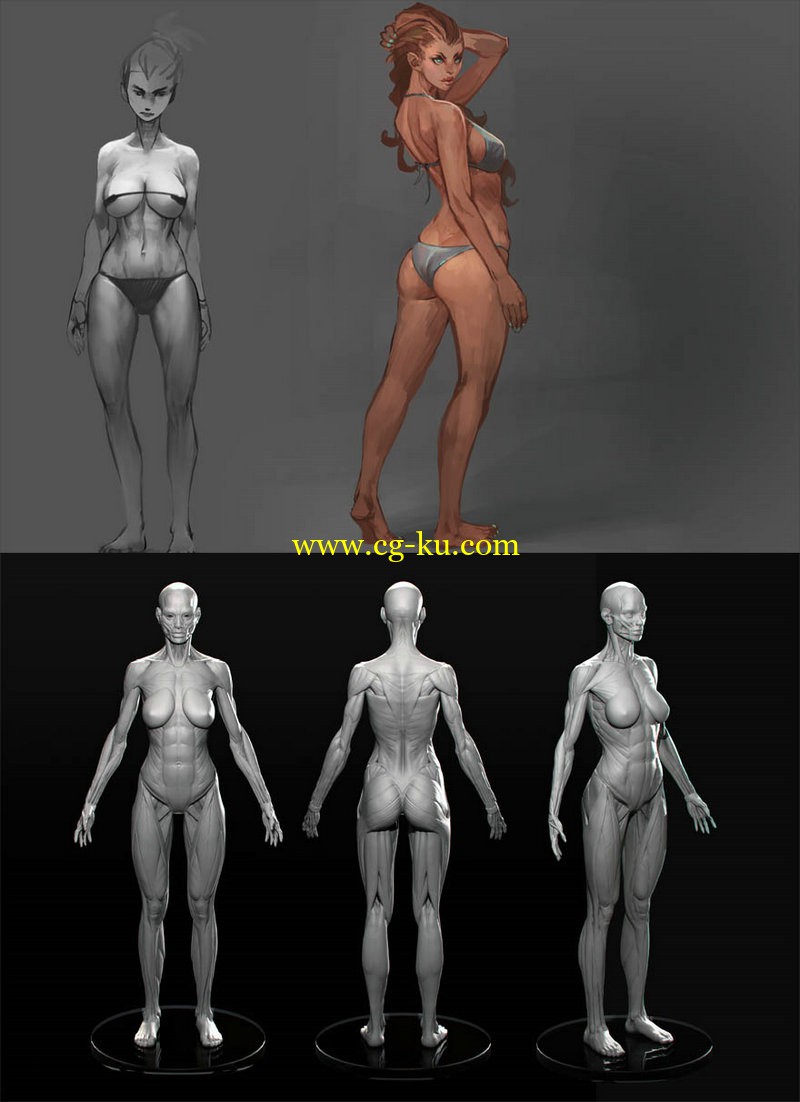 cubebrush x - Simple Female Anatomy的图片1