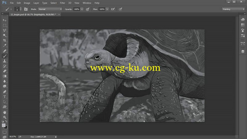 Digital Tutors - Fundamentals of Digital Drawing in Photoshop的图片1