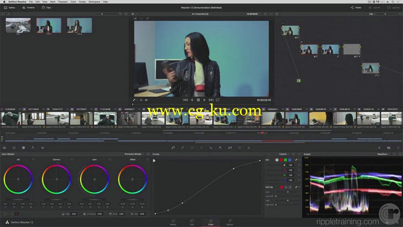 Ripple Training - Whats New in DaVinci Resolve 12的图片1