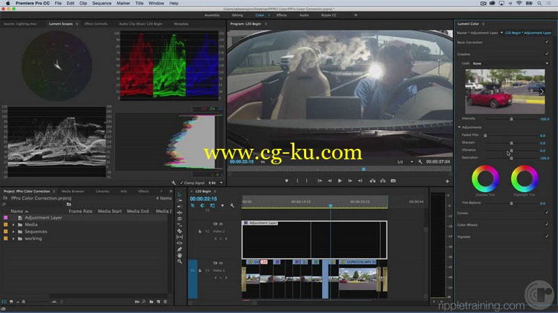 Ripple Training - Color Correction in Premiere Pro CC 2015的图片1