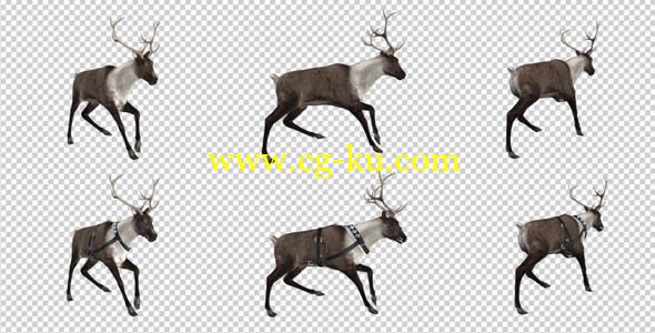 videohive - 9432542 reindeer run pack of 6的图片1