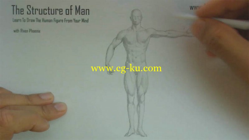 The Structure of Man-Human Proportions Basics的图片1