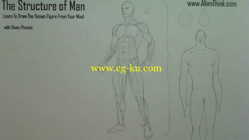 The Structure of Man Human Being的图片1