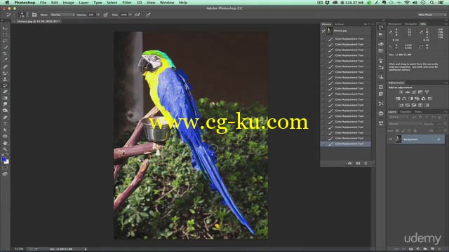 Udemy - Photoshop Tools in Depth (2015)的图片1