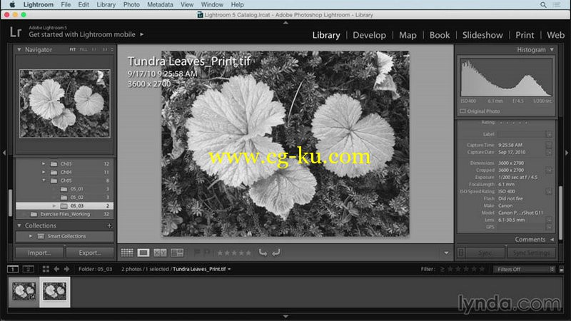 Lynda - Creating Black and White Landscape Photos with Lightroom的图片1