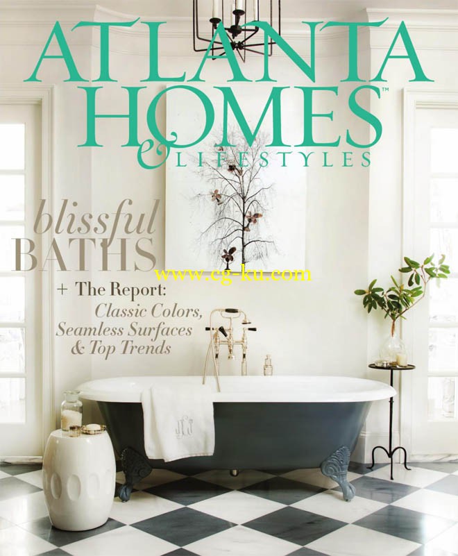 Atlanta Homes Lifestyles2015年7月刊的图片1