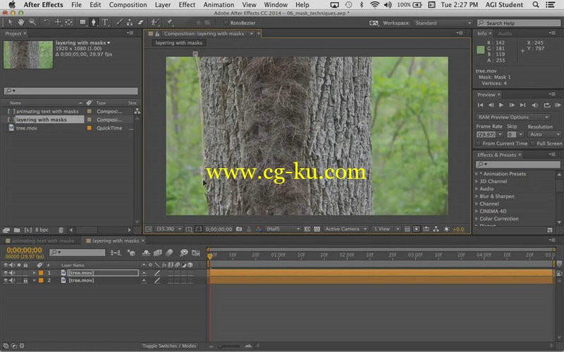 LearnNowOnline - After Effects CC InDepth Part 1 - 3的图片1