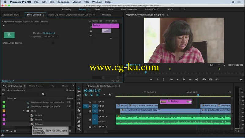 Lynda - Getting Started with Premiere Pro CC (2015)的图片1