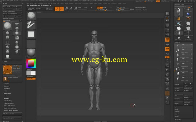 Udemy - Unleash Anatomy by Ryan Kingslien part1-part4的图片1