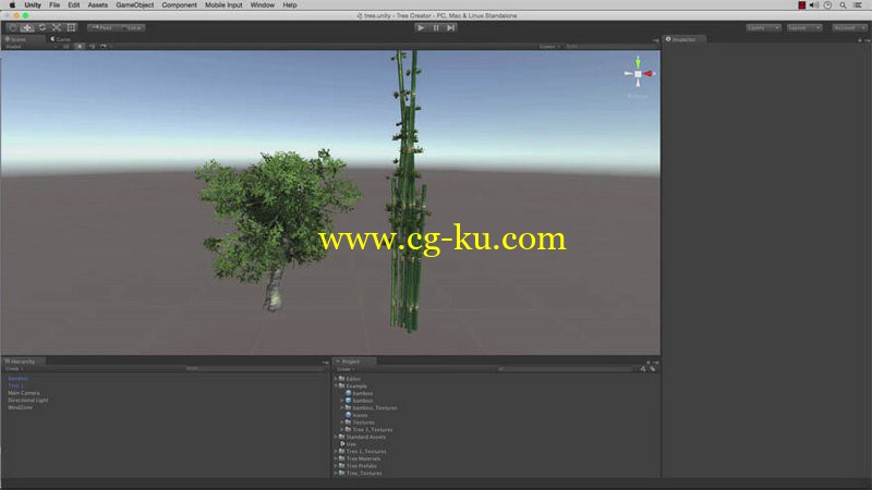 CGCookie - Fundamentals of  Tree Creation的图片1