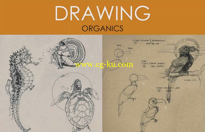 Foundation Patreon Term 10 - Dynamic Sketching Organics  ​的图片1