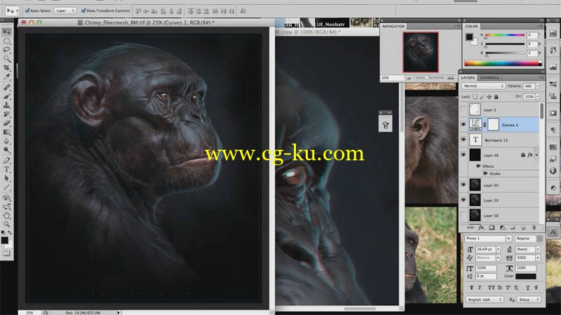 Gumroad - Primate Anatomy Complete by Ben Mauro的图片1