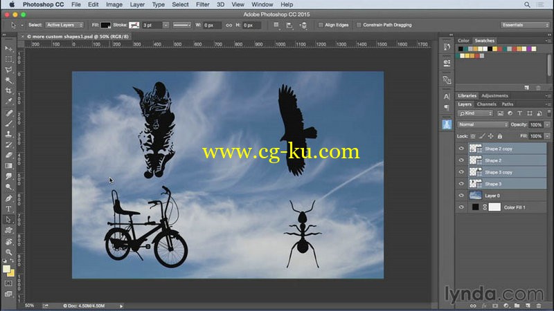 Lynda - Photoshop for Designers Working with Shapes的图片1