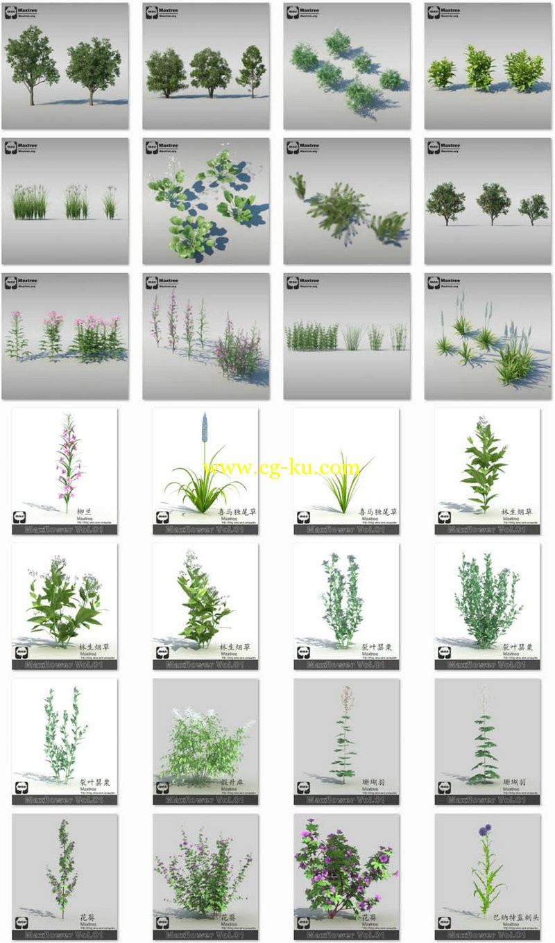 Maxtree - Complete Collection 3D Plants的图片1