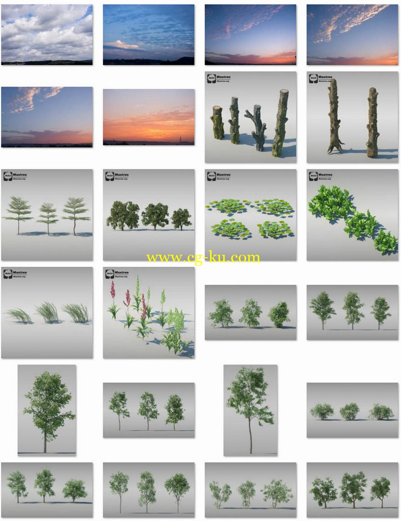 Maxtree - Complete Collection 3D Plants的图片2