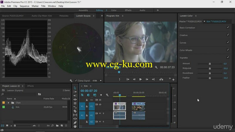 Premiere Pro Lumetri Color Correct like a Pro的图片1